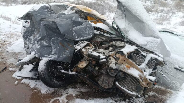 Tragedia en Río Negro: murieron 4 personas tras chocar contra un camión