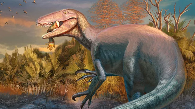 Hallan en Chubut un megarraptor 