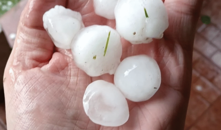 Granizo y vientos fuertes afectaron zonas del interior de Córdoba