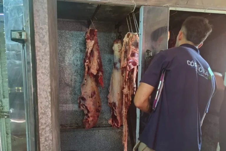 Decomisaron 700 kilos de carne porcina por faena ilegal en Ballesteros