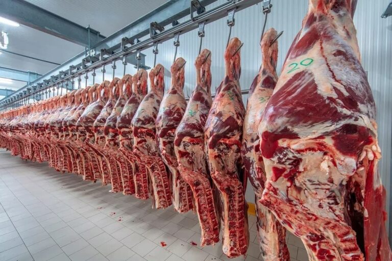 La carne vacuna alcanzó su mayor valor relativo en 15 años y presiona sobre el consumo