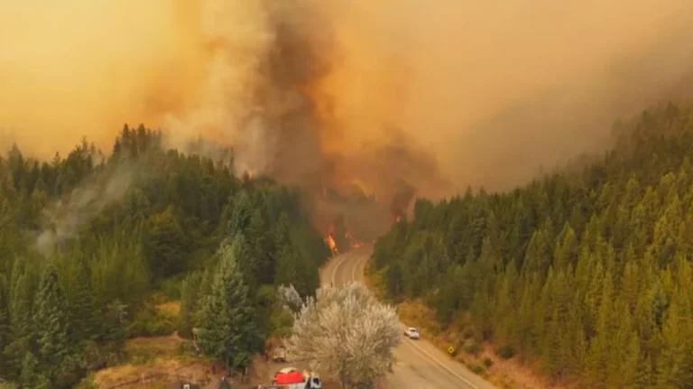 Incendios en Chubut: llega la lluvia y trae alivio a los brigadistas