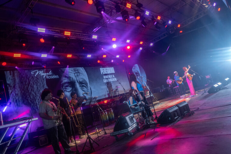 Un festival que crece con su gente: el balance del intendente Diego Carballo tras las tres noches del Folclore en el Agua 2026