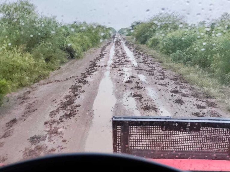 Bomberos y personal de salud rescataron a un hombre aislado por las lluvias en Río Seco