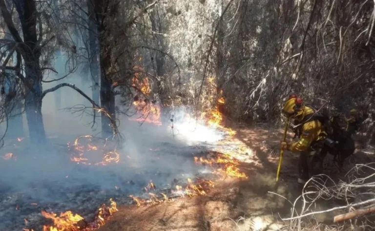 Investigan la posible responsabilidad penal de funcionarios por el incendio en Los Alerces
