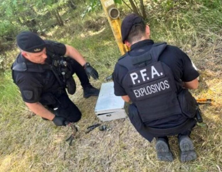 Gendarmes evitaron un ataque contra un gasoducto en Ezeiza