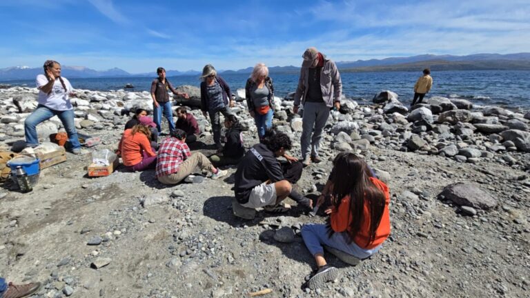 Hallan restos de un megaterio de 16.000 años en el Nahuel Huapi